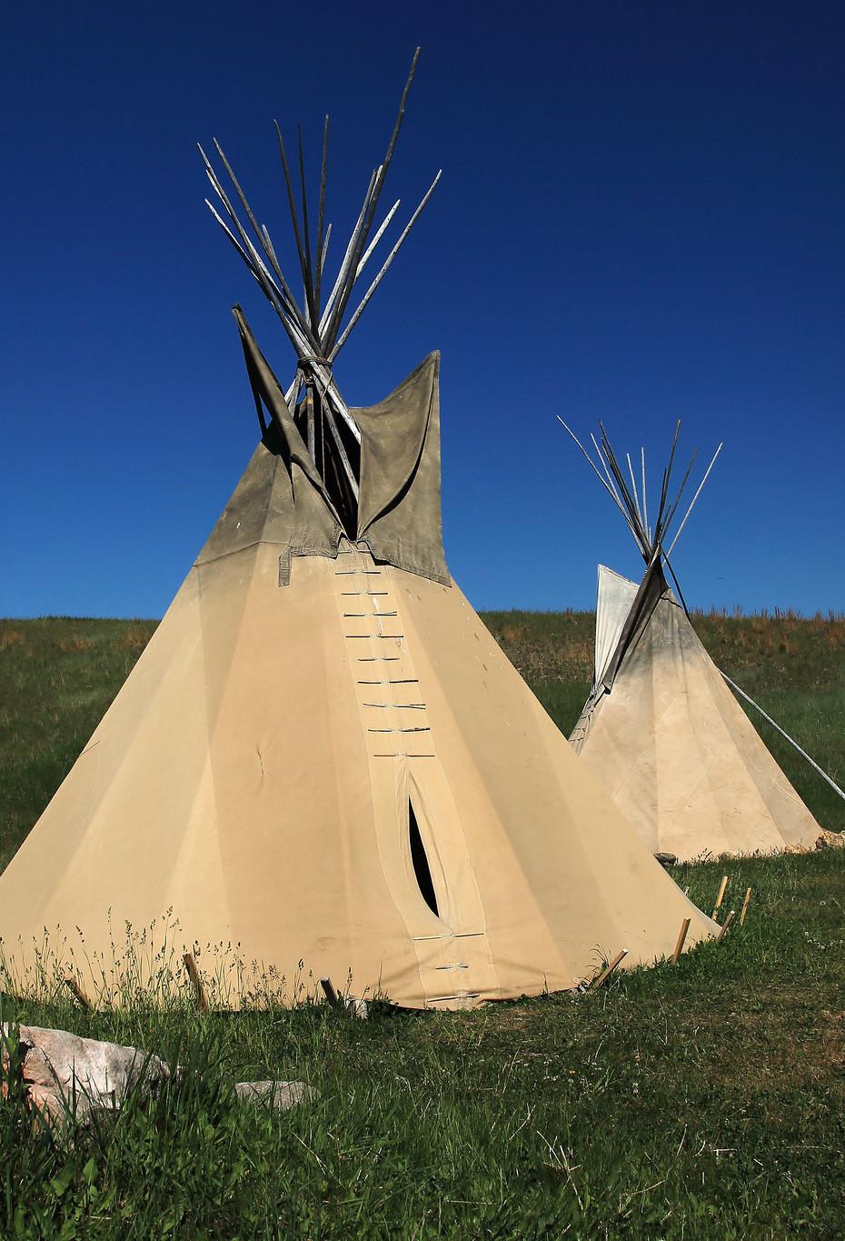 Tatanka: Story of the Bison